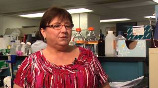 UT Veterinary Virologist Discusses Canine Distemper Virus [upl. by Bolte]