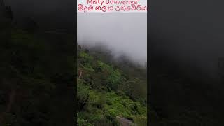 Misty Udaweriya  à¶¸à·“à¶¯à·”à¶¸ à¶œà¶½à¶± à¶‹à¶©à·€à·šà¶»à·’à¶º [upl. by Alissa]