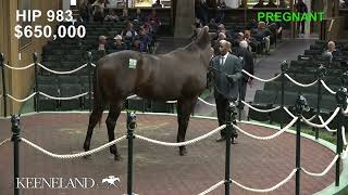 Finesse sells for 900000 at 2024 Keeneland November [upl. by Gusti]