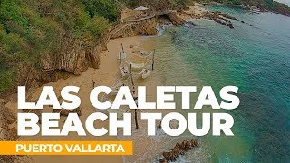 Las Caletas Beach Tour Puerto Vallarta [upl. by Nealy]