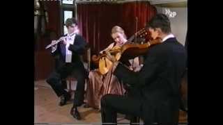 Trio Serenade Wenzeslaus Matiegka Notturno op21 Allegro moderato [upl. by Cece]