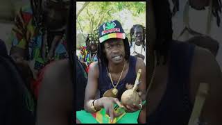 Tocky Vibes  MuJakaranda zimmusic shorts zimdancehall music winkyd [upl. by Pepper]