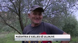 Mjeshtria e vjeljes së ullinjve [upl. by Arihas]