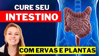 COMO CURAR O INTESTINO INFLAMADO COM ERVAS E PLANTAS [upl. by Daveda]