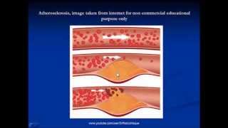 Cellular Adaptations  Definition Classification Mechanisms amp Examples [upl. by Humphrey]