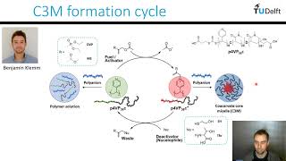 Reece Lewis  Nucleophile mediated coacervation in complex coacervate core micelles [upl. by Yevette]