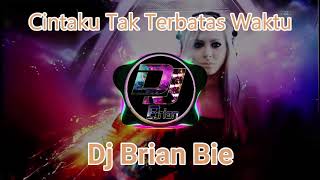 Cintaku Tak Terbatas Waktu Remix By Dj Brian Bie [upl. by Qahsi]