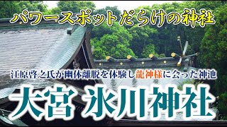 パワースポットだらけの神社 埼玉の氷川神社 江原さんも龍神様に遭遇 [upl. by Santa]