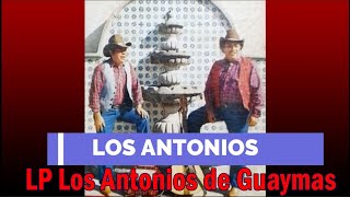 Los Antonios Arenita [upl. by Humble]