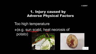 Abiotic Diseases [upl. by Ayatahs]