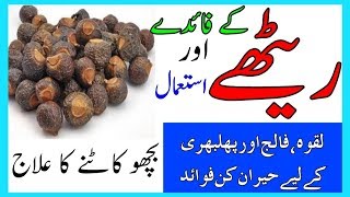 Reetha Ke Fwaid Aur istemal  Soapberry benefits For Health [upl. by Nylatsirk108]