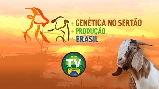 Live de lançamento GENÉTICA NO SERTÃO 27  06032024 [upl. by Tsenrae]