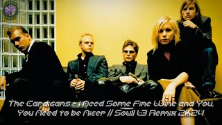 The Cardigans  I NEED SOME FINE WINE AND YOU YOU NEED TO BE NICER  SOULL L3 Remix 2K24 [upl. by Eneirda102]