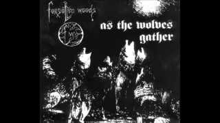 Forgotten Woods  As the Wolves Gather Full Album [upl. by Moser]