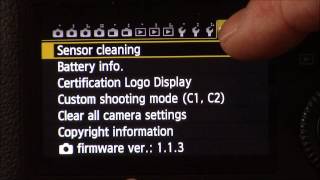 How to Fix Hot or Stuck Pixels in Canon Cameras [upl. by Lepp]