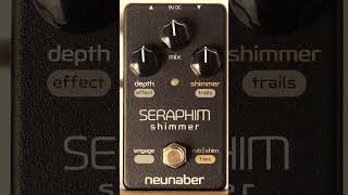 Neunaber Audio  Seraphim Shimmer shorts effectspedals stompbox shimmer [upl. by Yasibit]