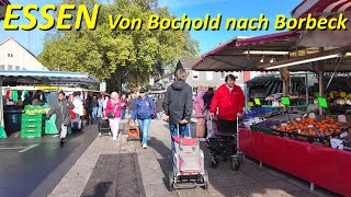 Stadt Essen walking 4K  Von Bochold nach Borbeck Herbst 2024 [upl. by Rohclem753]