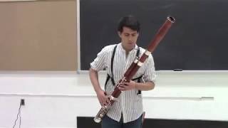 Cliffs of Dover Electric Bassoon Cover [upl. by Yotal90]