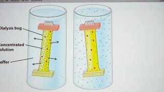 Aherns Biochemistry 6  Protein Purification [upl. by Riess]