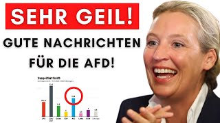 Erste Umfrage nach AmpelAus AfD gewinnt am stärksten [upl. by Ylrebmi23]