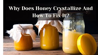 Why Does Honey Crystallize And How To Fix It  Busy Beekeeping [upl. by Grissel338]