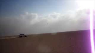 شيلة يقولون قلبك للقنص مقناص الكدري Blackbellied Sandgrouse [upl. by Etnad]