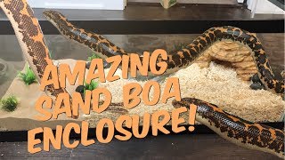 SETTING UP MY KENYAN SAND BOA ENCLOSURE Awesome upgrade [upl. by Ardnaxela575]