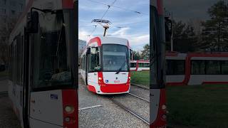 ZVONÍM ZVONKEM BRNĚNSKEJ DVOJ DRAK dpmb tramvaj tram brno [upl. by Otiragram862]