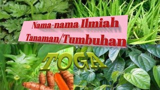 Namanama Ilmiah Tanamantumbuhan Part TOGA [upl. by Adams]