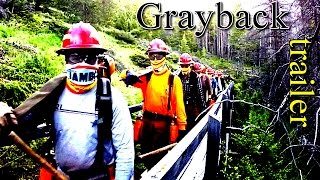 Grayback Forestry   trailer [upl. by Aivlis]