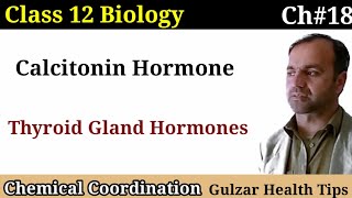 Calcitonin Hormone  Thyroid gland hormones  Class 12th Biology [upl. by Helena]