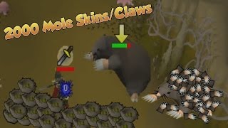 LOOT FROM 2000 MOLE SKINSMOLE CLAWS  OSRS Giant Mole Loot [upl. by Salvay]