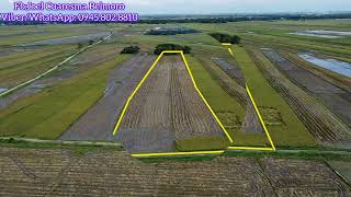 18 HECTARE Irrigated Riceland in Balungao Pangasinan 2 million onlyAerial View [upl. by Atiek]