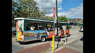 Savannahs Old Town Trolley Tour  Best Sightseeing for nonwalkers [upl. by Deeas46]