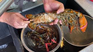 Do This Critical Step Before Cooking Lobsters How to Clean Prep Cut Crack Boston Lobsters [upl. by Mailliw]