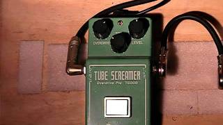 Ibanez TS808 Tube Screamer Demo [upl. by Latreshia386]