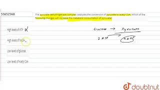 The pyruvate dehydrogenase complex catalyzes the conversion of pyruvate to acetyl CoA [upl. by Erual532]