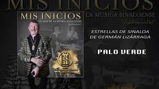 Estrellas de Sinaloa  Palo Verde 🌳  INSTRUMENTAL [upl. by Godiva]