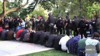 UC Davis Protestors Pepper Sprayed [upl. by Richers526]