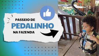 Vamos comigo andar de pedalinho Minha primeira vez 😹 [upl. by Edin]