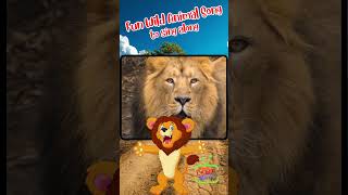 Animal Songs for Little Explorers  Sing along  Fun Songs for Curious Kids [upl. by Brade]