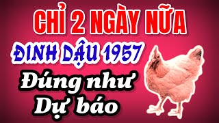 Đúng Như Dự Báo Đinh Dậu 1957 Được Thần Tài Gõ Cửa Phát Tài Phát Lộc Sau 2 Ngày Nữa [upl. by Tierney]