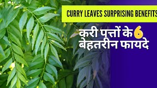 Curry Leaves 🌿 6 amazing benefits  curry leaf benefits [upl. by Yruj909]