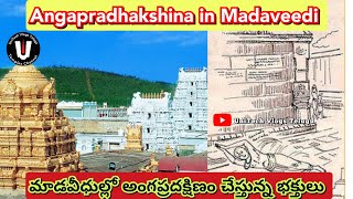 Angapradhakshina in Tirumala  మాడవీధుల్లో అంగప్రదక్షిణం చేస్తున్న భక్తులు UniTechVlogsTelugu [upl. by Gimble605]