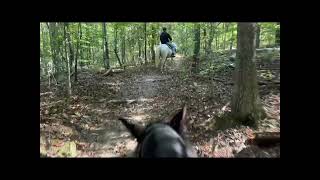 Fall Trail Ride with the Mustangs 🍁 [upl. by Halstead]