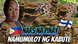 PINAY NURSE NAMUMULOT NG WINTER MUSHROOMS SA GUBAT NG FINLAND  THE LINDEMANS [upl. by Amian]