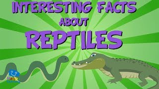 INTERESTING FACTS ABOUT REPTILES  Educational Video for Kids [upl. by Aznola]