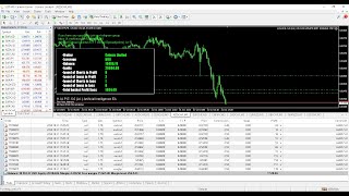 Turning 5000 into 20000 Best Forex Robot of 2024 forextradingforbeginners [upl. by Dov]