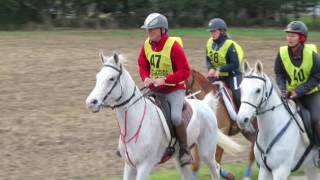 Endurance équestre les 2 jours de Montcuq 2016 CEI [upl. by Chadd]