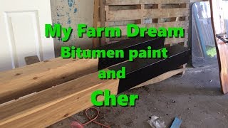 My Farm Dream  Bitumen paint  And Cher in concert Cher is amazing [upl. by Edlitam]